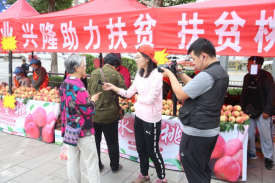 4008云顶集团|中国有限公司-官方网站